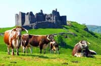 Carreg Cennen Castle